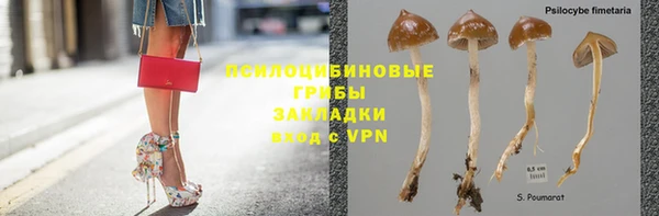 винт Каменногорск