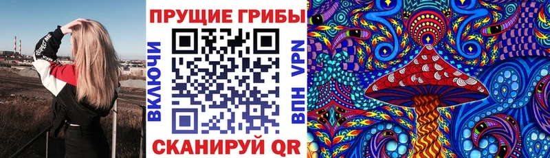Купить  Кудрово  Галлюциногенные грибы Magic Shrooms 