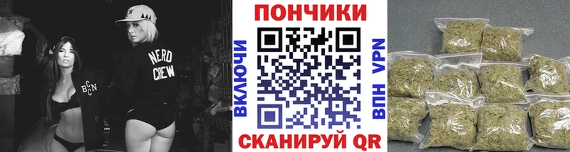 Бошки Шишки Amnesia Кудрово